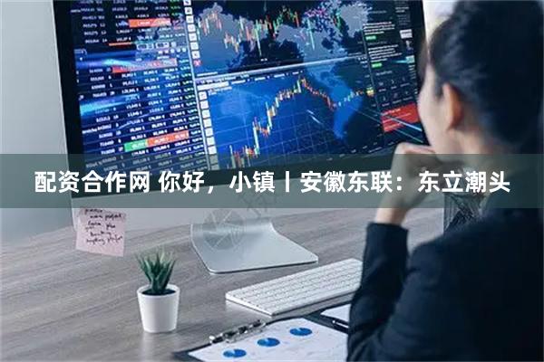 配资合作网 你好，小镇丨安徽东联：东立潮头
