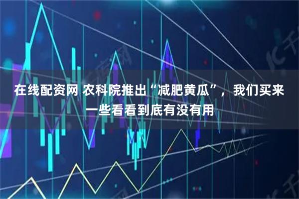 在线配资网 农科院推出“减肥黄瓜”，我们买来一些看看到底有没有用