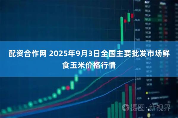 配资合作网 2025年9月3日全国主要批发市场鲜食玉米价格行情