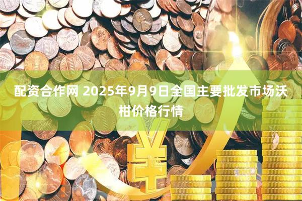 配资合作网 2025年9月9日全国主要批发市场沃柑价格行情
