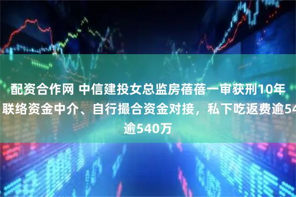 配资合作网 中信建投女总监房蓓蓓一审获刑10年半：联络资金中介、自行撮合资金对接，私下吃返费逾540万