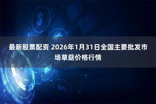 最新股票配资 2026年1月31日全国主要批发市场草菇价格行情