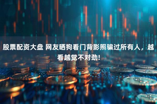股票配资大盘 网友晒狗看门背影照骗过所有人,越看越觉不对劲!